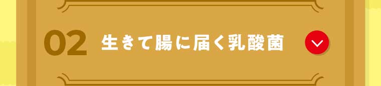 02 生きて腸に届く乳酸菌