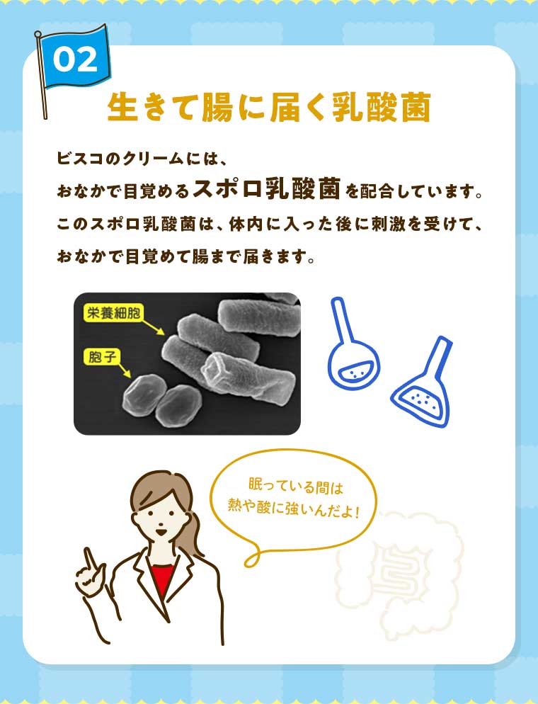 02 生きて腸に届く乳酸菌