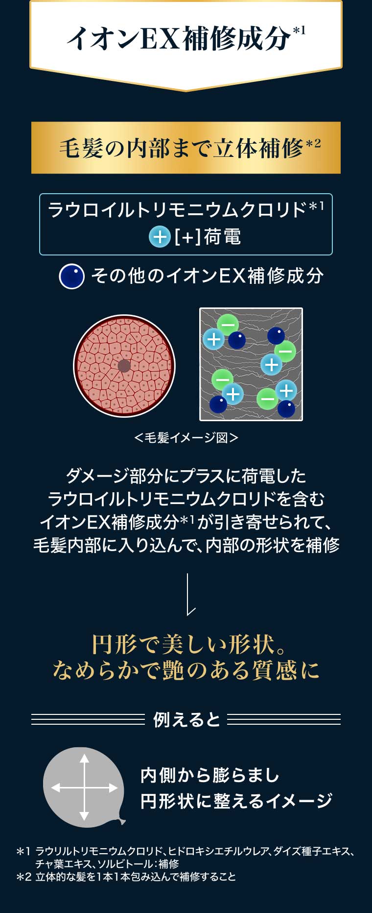 イオンEX補修成分