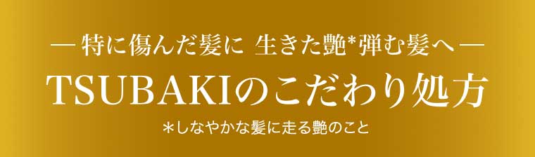 特に傷んだ髪に 生きた艶 弾む髪へ