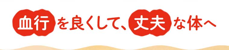 血行を良くして、丈夫な体へ