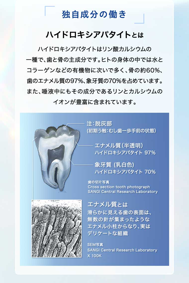 独自成分の働き