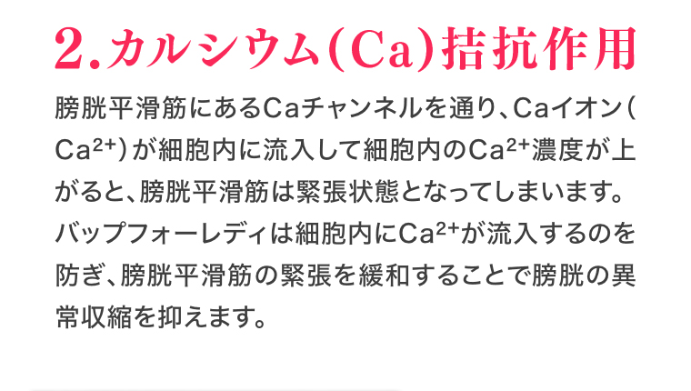 カルシウム（Ca）拮抗作用