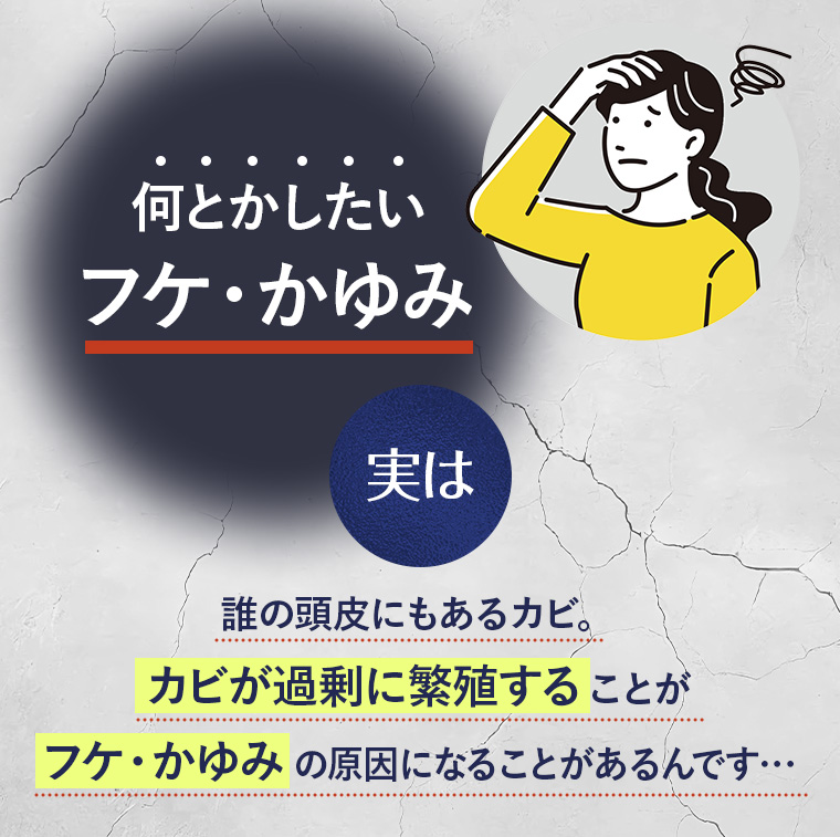 「何とかしたいフケ・かゆみ」実は　誰の頭皮にもあるカビ。カビが過剰に繁殖することがフケ・かゆみの原因になることがあるんです…