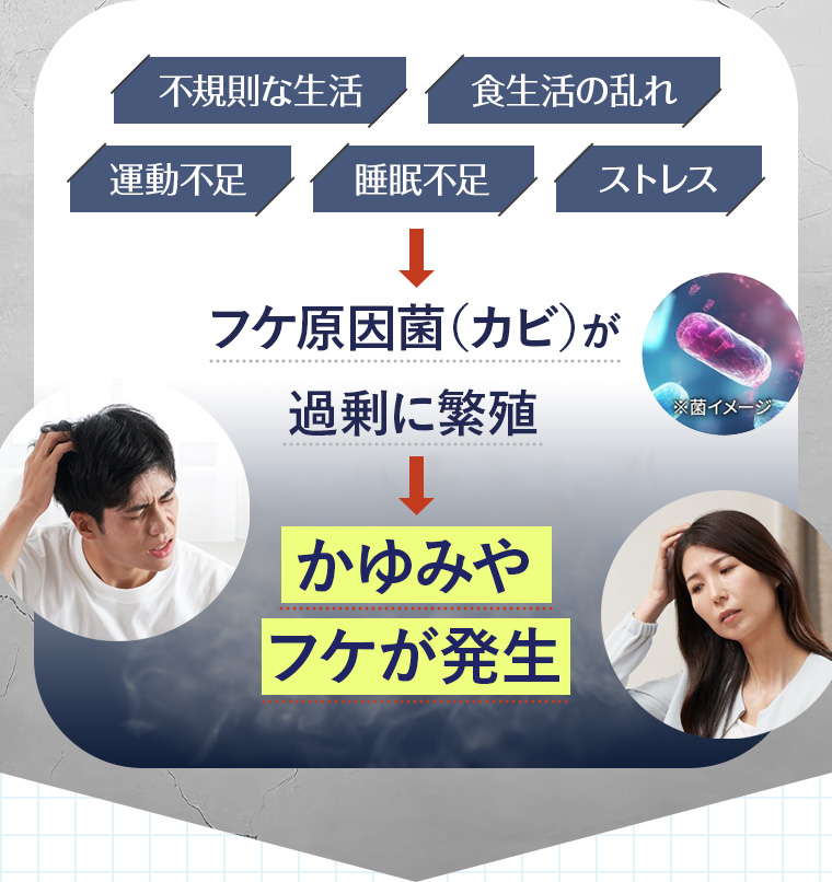 「不規則な生活」「食生活の乱れ」「運動不足」「睡眠不足」「ストレス」フケ原因菌（カビ）が過剰に繁殖→かゆみやフケが発生