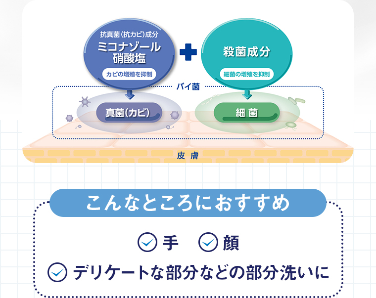 抗真菌(抗カビ)成分ミコゾナール硝酸塩【カビの増殖を抑制】＋殺菌成分【細菌の増殖を抑制】こんなところにおすすめ「手」「顔」「デリケートな部分などの部分洗いに」