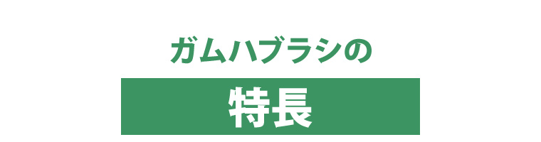 ガムハブラシの特徴
