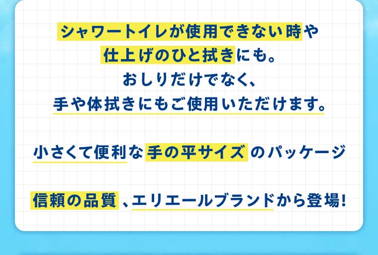 シャワートイレが使用できない時や仕上げのひと拭きにも。