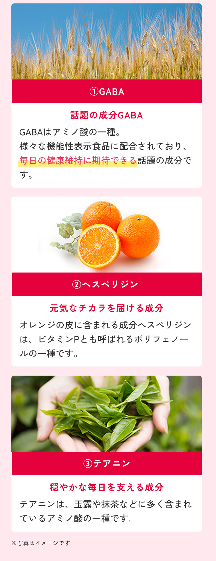 GABA・ヘスペリジン・テアニン