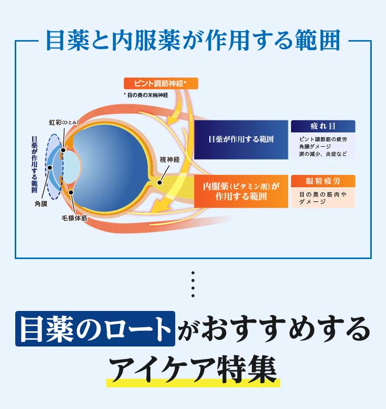 目薬と内服薬が作用する範囲