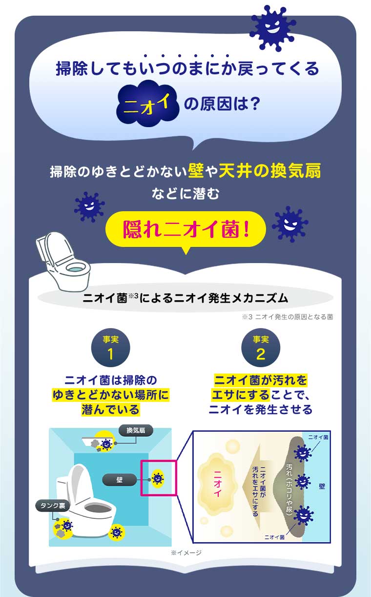 掃除してもいつのまにか戻ってくるニオイの原因は