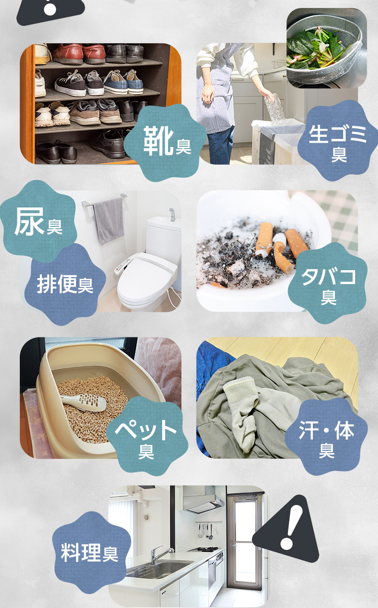 靴臭、生ゴミ臭、尿臭、排便臭、タバコ臭、ペット臭、汗・体臭、料理臭