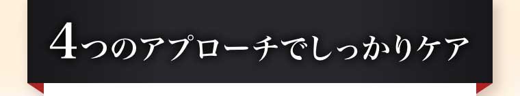 4つのアプローチでしっかりケア