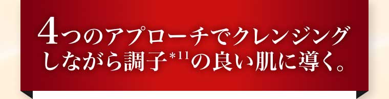 4つのアプローチでクレンジングしながら調子の良い肌に導く。