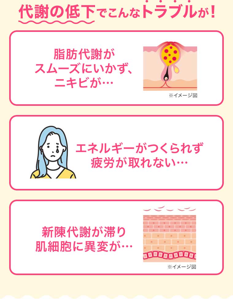 代謝の低下でこんなトラブルが! 脂肪代謝がスムーズにいかず、ニキビが・・・ エネルギーがつくられず疲労が取れない・・・ 新陳代謝が滞り肌細胞に異変が・・・