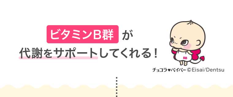 ビタミンB群が代謝をサポートしてくれる!