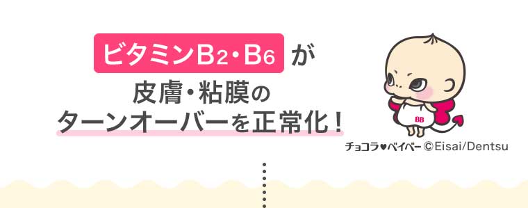 ビタミンB2・B6が皮膚・粘膜のターンオーバーを正常化!