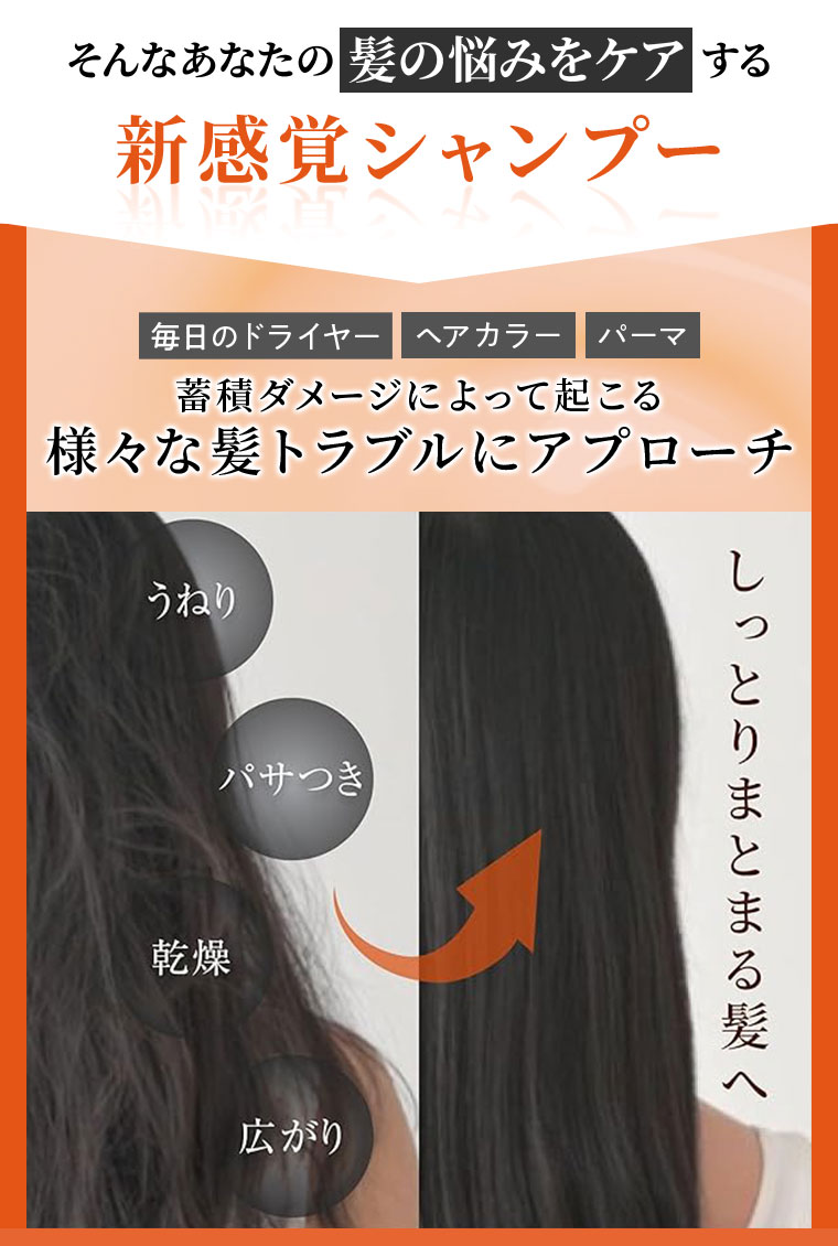 そんなあなたの髪の悩みをケアする 新感覚シャンプー