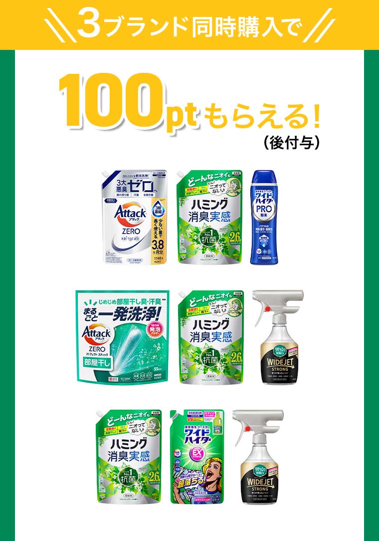 3ブランド同時購入で 100ptもらえる!