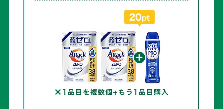 1品目を複数個 + もう1品目購入 20pt