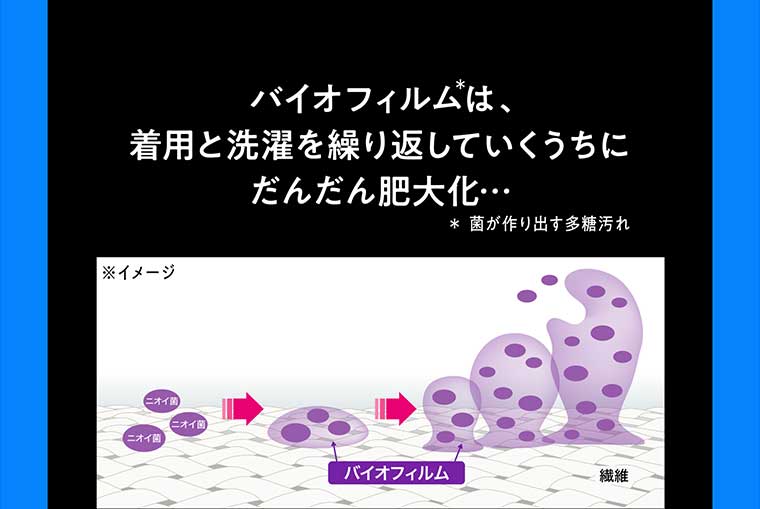 バイオフィルムは、着用と洗濯を繰り返していくうちにだんだん肥大化…