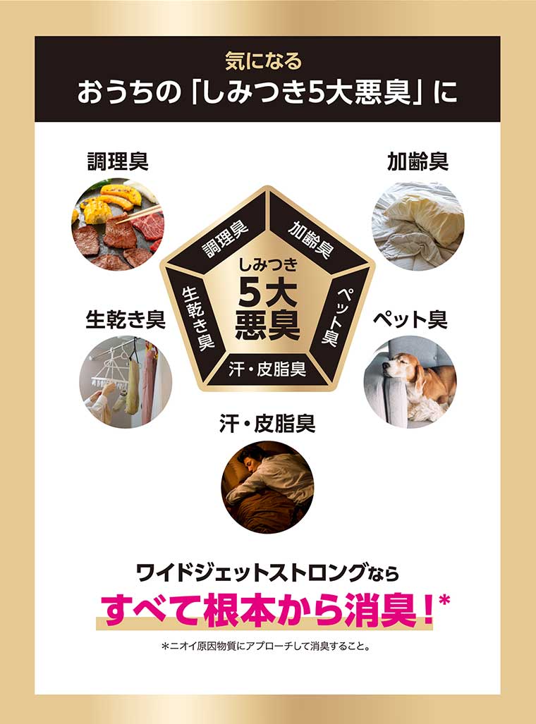 気になるおうちの「しみつき5大悪臭」に