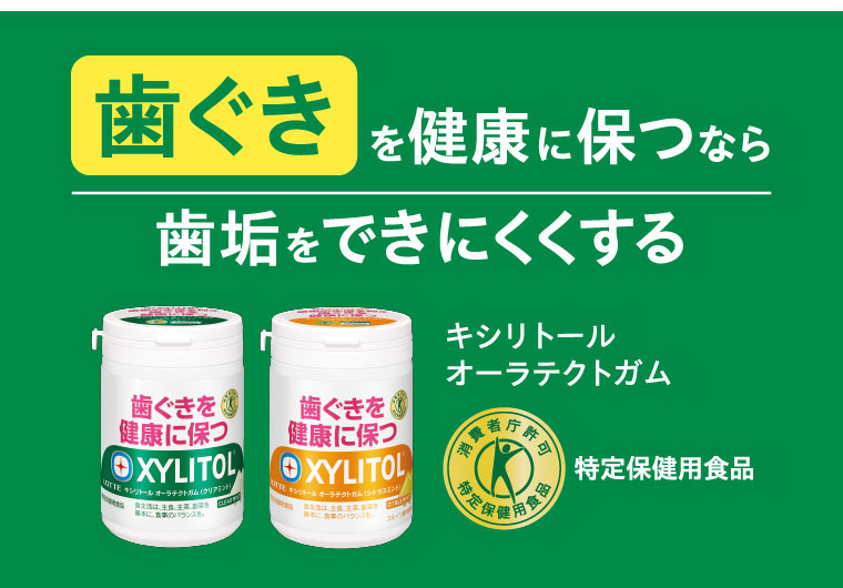 歯ぐきを健康に保つなら 歯垢をできにくくする キシリトールオーラテクトガム 特定保健用食品