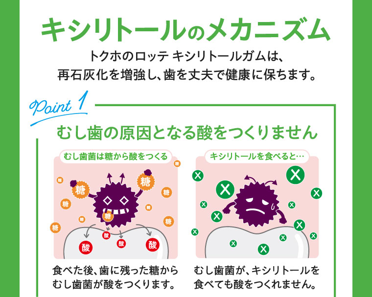 キシリトールのメカニズム トクホのロッテ キシリトールガムは、再石灰化を増強し、歯を丈夫で健康に保ちます。 Point1 むし歯の原因となる酸をつくりません