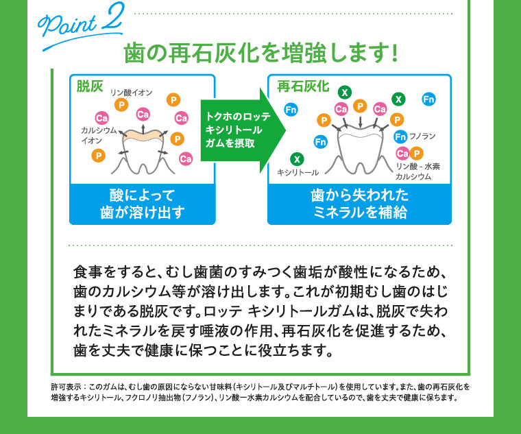 Point2 歯の再石灰化を増強します!