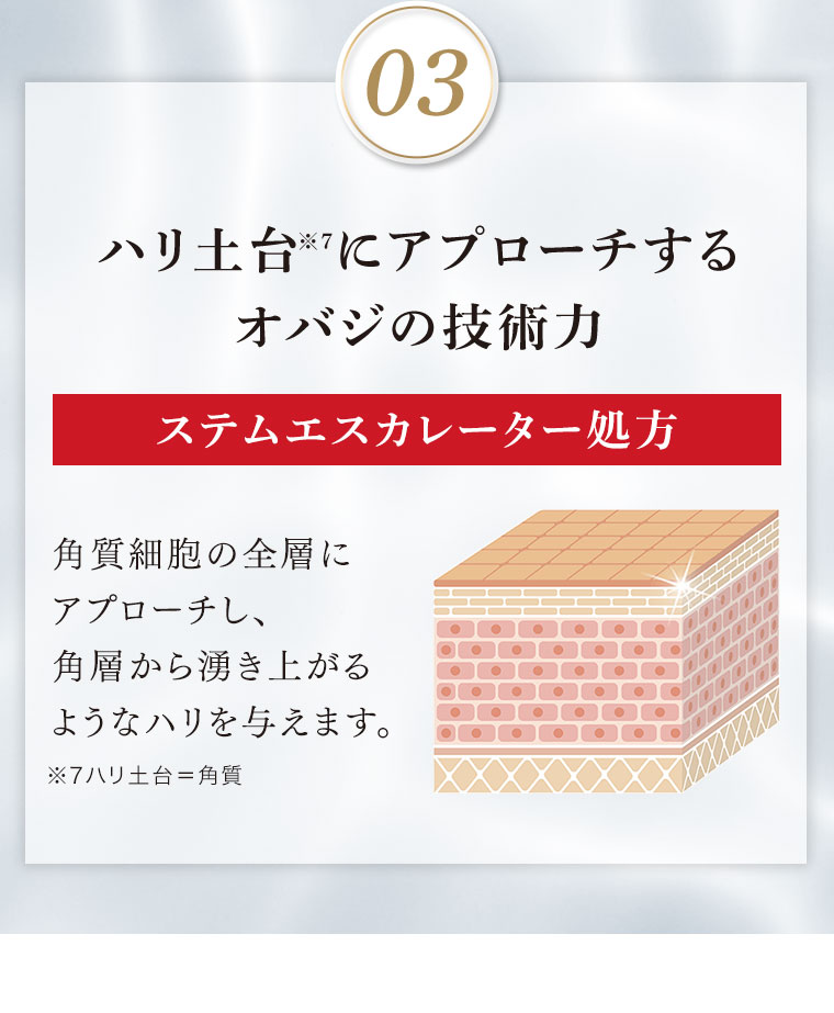 03 ハリ土台にアプローチするオバジの技術力