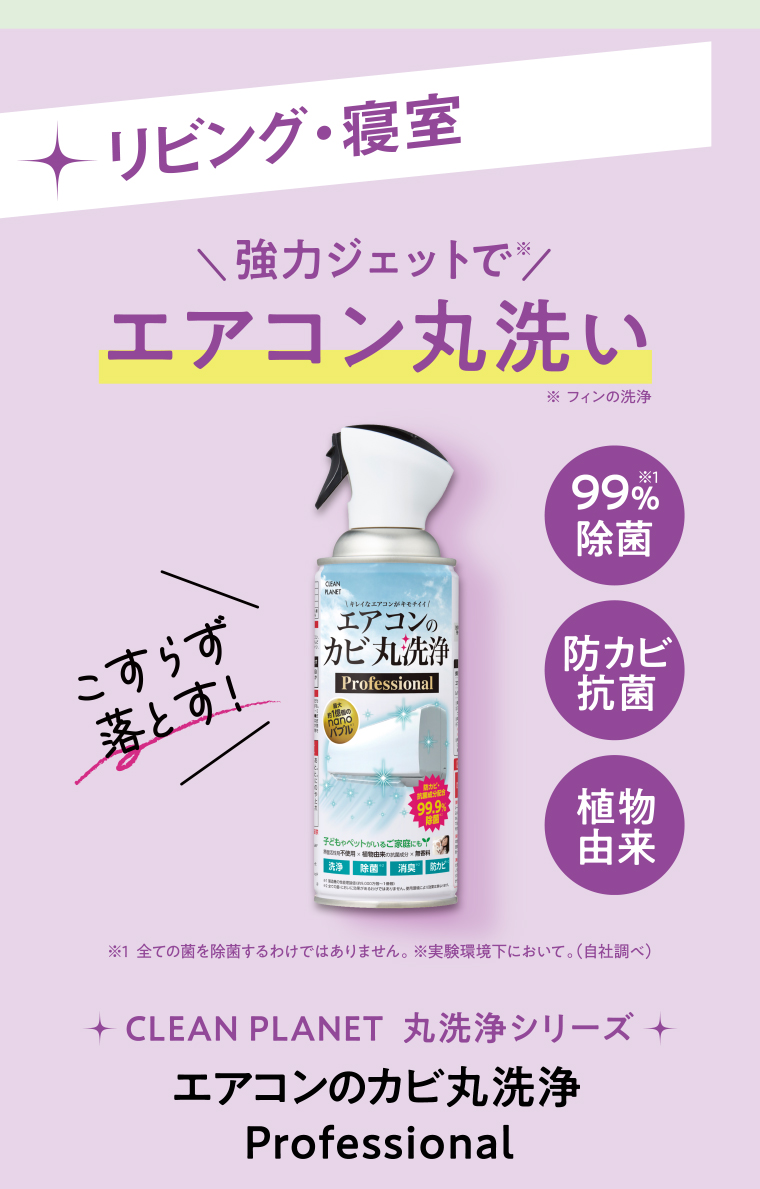 エアコンのカビ丸洗浄　Professional