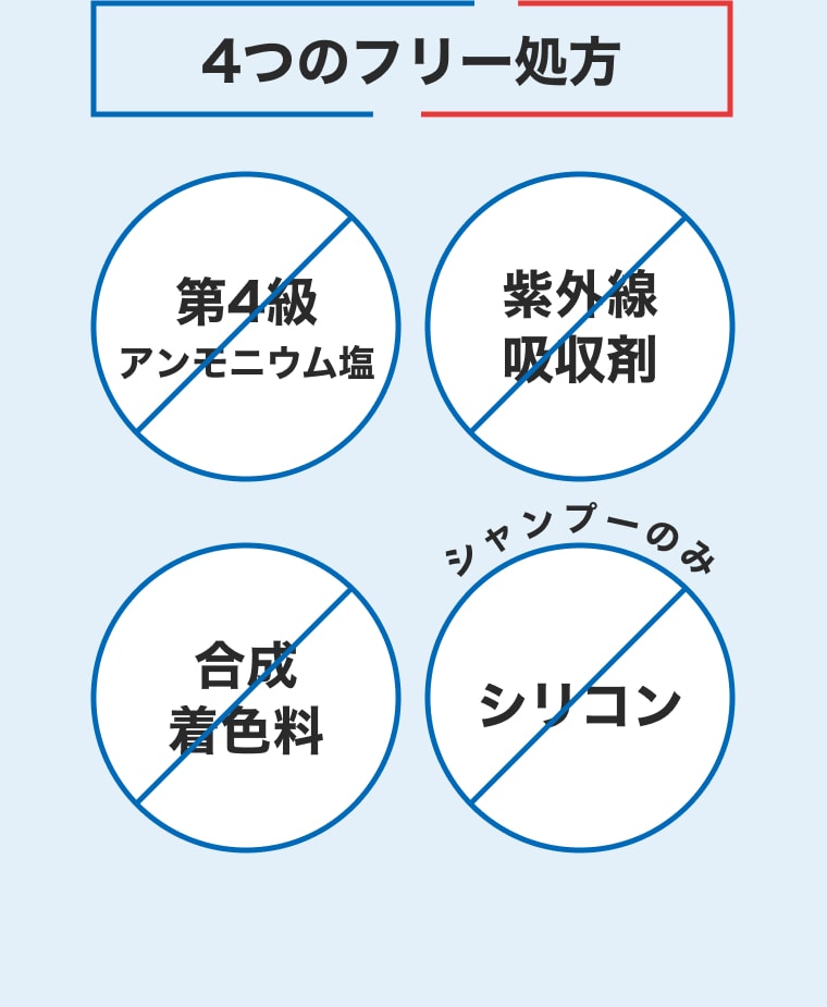 4つのフリー処方
