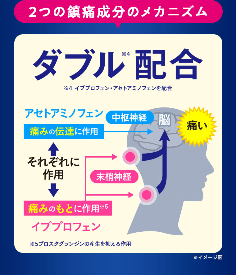 2つの鎮痛成分のメカニズム ダブル配合