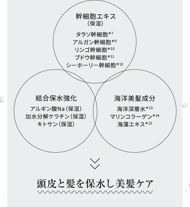 幹細胞エキス 結合保水強化 海洋美髪成分 頭皮と髪を保水し美髪ケア
