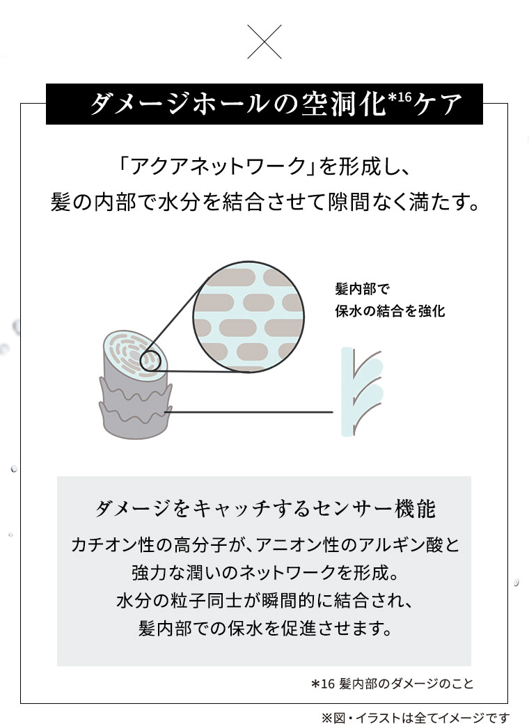 ダメージホールの空洞化ケア 「アクアネットワーク」を形成し、髪の内部で水分を結合させて隙間なく満たす。