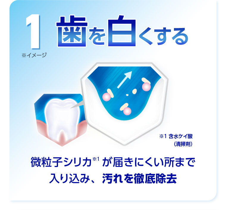 1 歯を白くする 微粒子シリカが届きにくい所まで入り込み、汚れを徹底除去