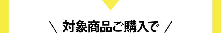対象商品ご購入で