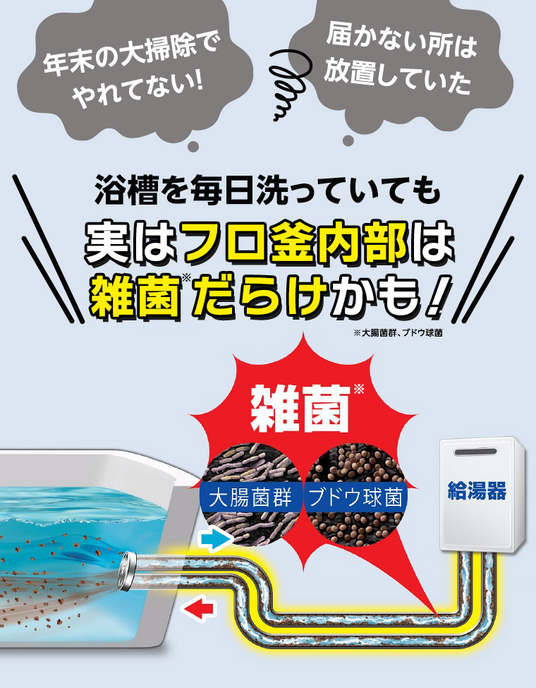 年末の大掃除でやれてない! 届かない所は放置していた 浴槽を毎日洗っていても実はフロ釜内部は 雑菌だらけかも!!