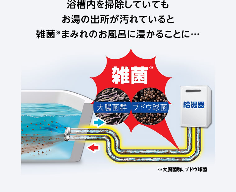 浴槽内を掃除していても お湯の出所が汚れていると雑菌まみれのお風呂に浸かることに