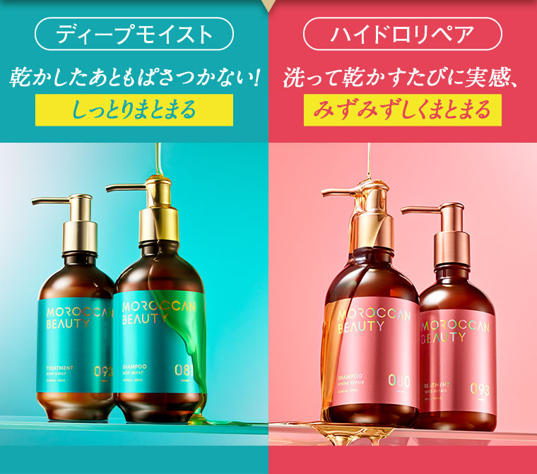 ディープモイスト 乾かしたあともぱさつかない! しっとりまとまる ハイドロリペア 洗って乾かすたびに実感、みずみずしくまとまる