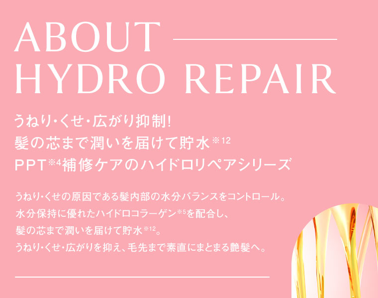 ABOUT HYDRO REPAIR うねり・くせ・広がり抑制! 髪の芯まで潤いを届けて貯水 PPT補修ケアのハイドロリペアシリーズ
