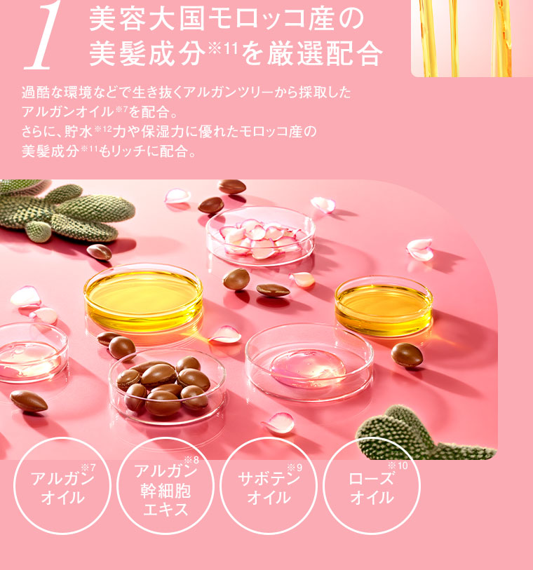 1 美容大国モロッコ産の美髪成分を厳選配合