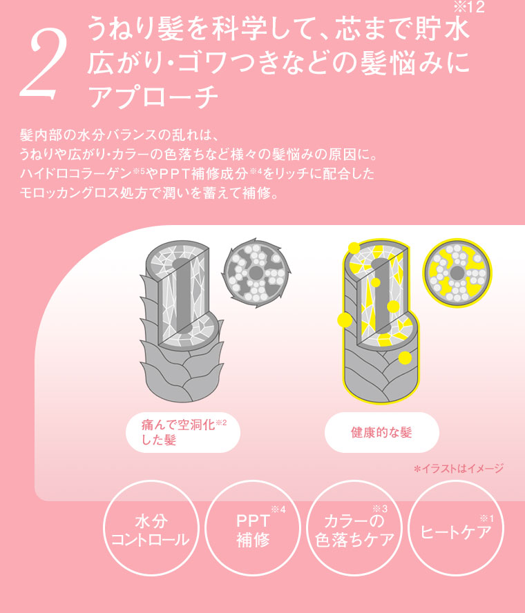 2 うねり髪を科学して、芯まで貯水 広がり・ゴワつきなどの髪悩みにアプローチ