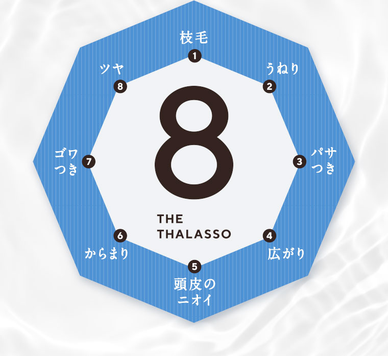 枝毛 うねり パサつき 広がり 頭皮のニオイ からまり ゴワつき ツヤ