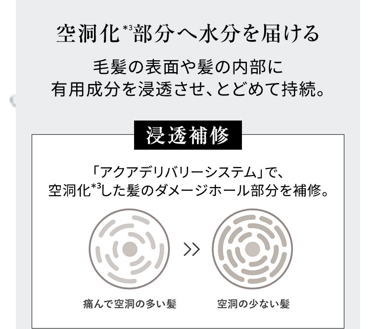 空洞化部分へ水分を届ける 毛髪の表面や髪の内部に有用成分を浸透させ、とどめて持続。 浸透補修 「アクアデリバリーシステム」で、空洞化した髪のダメージホール部分を補修。