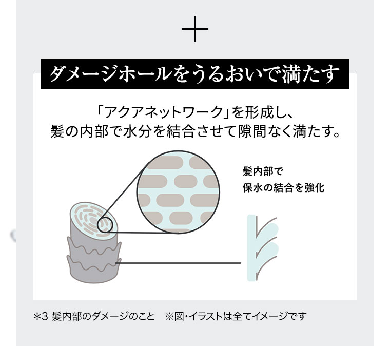 ダメージホールをうるおいで満たす「アクアネットワーク」を形成し、髪の内部で水分を結合させて隙間なく満たす。