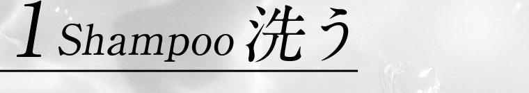 1 Shampoo 洗う