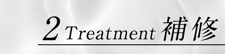 2 Treatment 補修