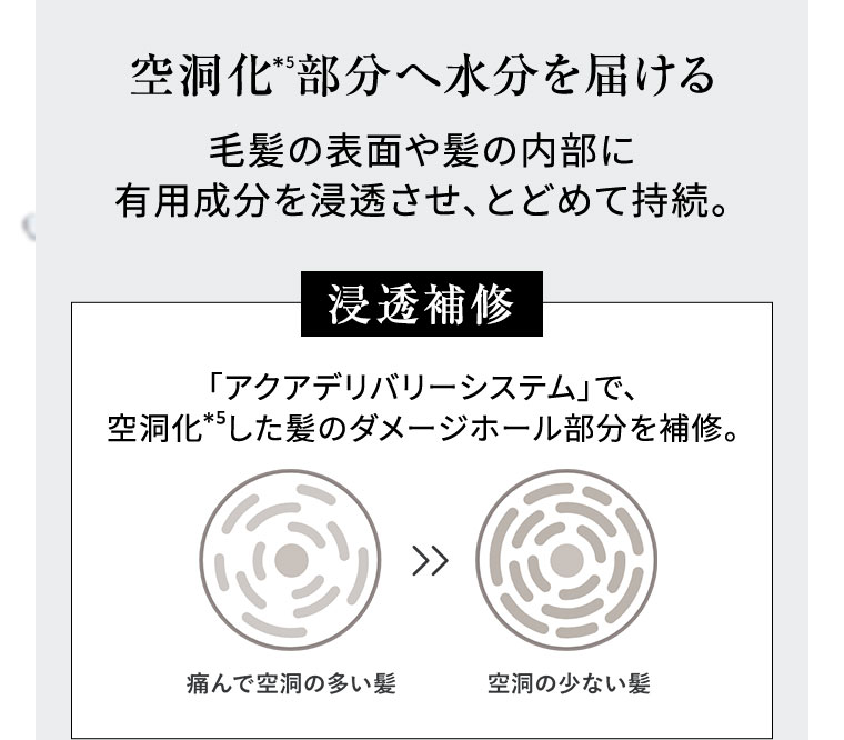 空洞化部分へ水分を届ける 毛髪の表面や髪の内部に有用成分を浸透させ、とどめて持続。 浸透補修 「アクアデリバリーシステム」で、空洞化した髪のダメージホール部分を補修。