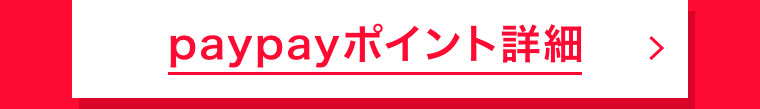 paypayポイント詳細